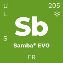 be.tex Samba Green
