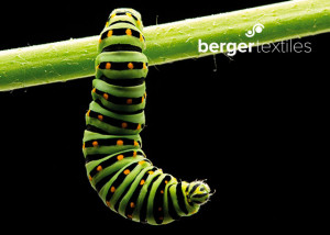 Berger Valuetex Green