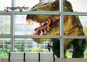 ImagePerfect 2557 Clear Graphics Film