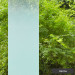 3M Fasara Aerina Gradation