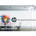 *HP Vision Etch CP 1600mmx45.72m 