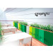 IP 2810-103 1,60X50m Polymeric laminate gloss
