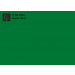 IP EG 9552 Apple Gloss 122 cm (50m/rll)